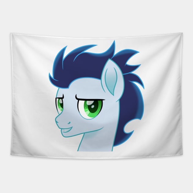 Soarin portrait Tapestry by CloudyGlow