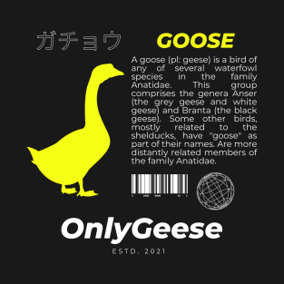 Goose Streetwear Aesthetic T-Shirt