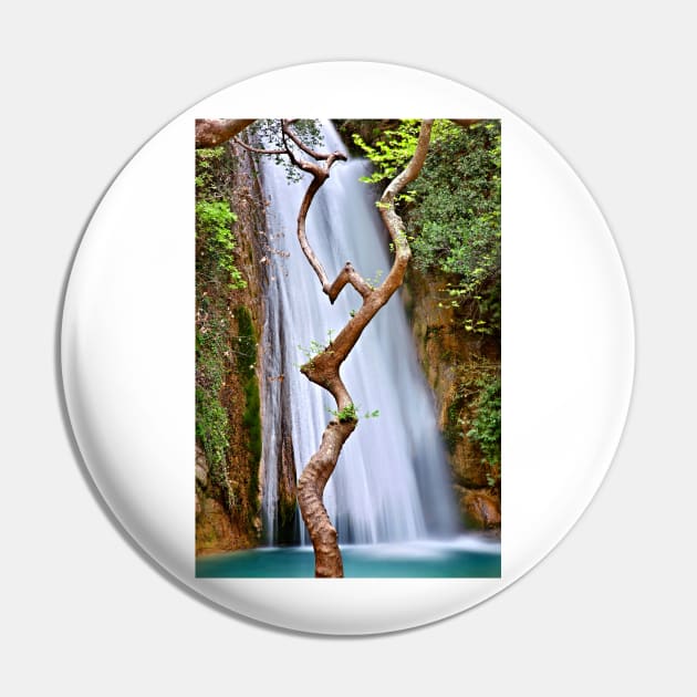 The dancing tree in Neda canyon Pin by Cretense72