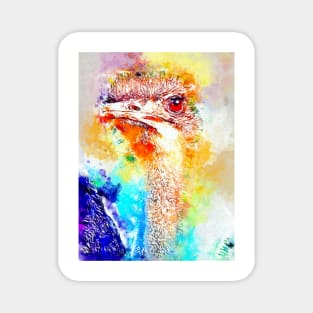 Watercolor Ostrich Magnet