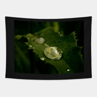 Drop of Water on a Leaf - macro photography Tapestry