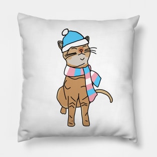 Kitty Cat and Transgender Pride Flag Hat and Scarf Pillow