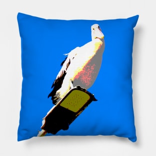 Pelican Looking from High! Pillow