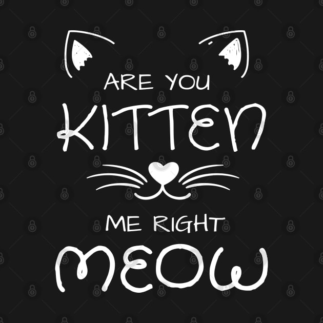 Are You Kitten Me Right Meow by mansoury