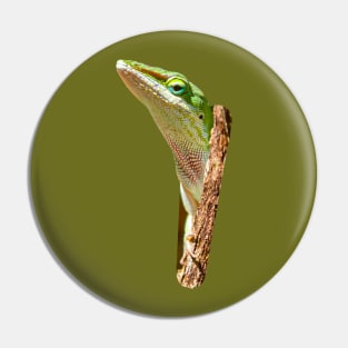 Peeping Green Anole Pin