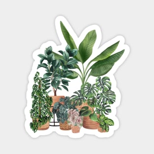 House Plants 12 Magnet