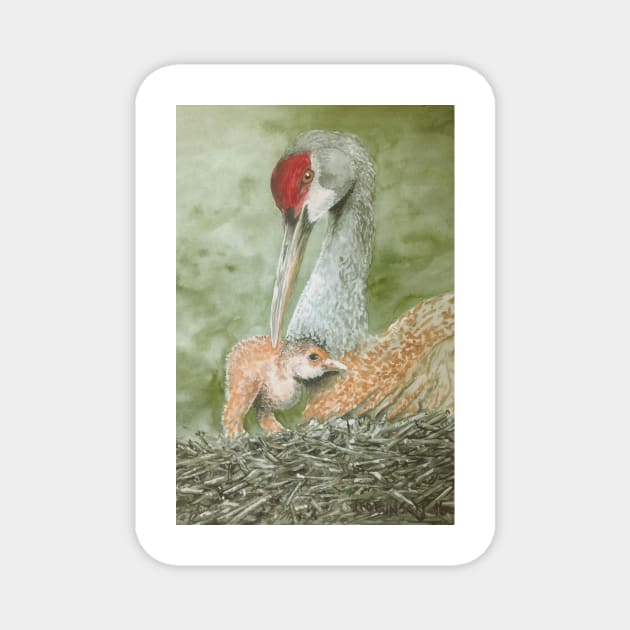 Sandhill crane newcomer Magnet by desertvalleydesign