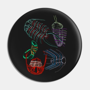 Ordovician Era Trilobites 2 Pin