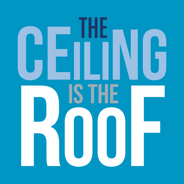 The Ceiling is the Roof by BTXstore