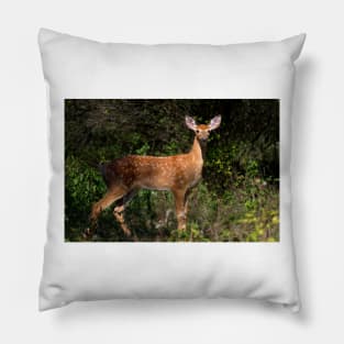 Fawn Times - White-tailed deer Pillow