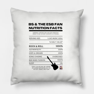 BS&ESB Fan Nutrition Facts Pillow