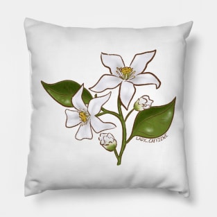 Orange Blossom Pillow