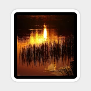 Candlelight Sunset Magnet