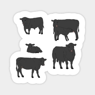 Angus Cattle Pack Magnet