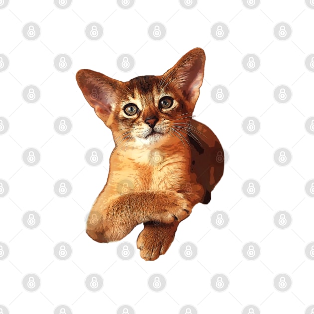 Abyssinian Kitten Cat Cute! by ElegantCat