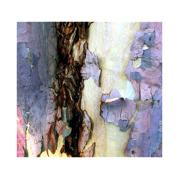 Bark abstract by rozmcq