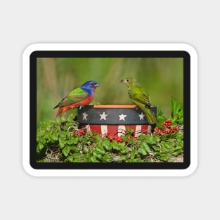 Painted Bunting Birds Pair Magnet