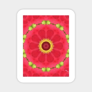 Kaleidoscopic Zinnia Magnet