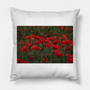 bright red glowing poppy in a field of wild uncultivated flowers Pillow