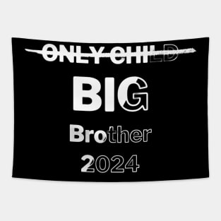 Only Child Big Brother 2024 Tapestry