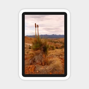 The Flinders Ranges, Outback Australia Magnet