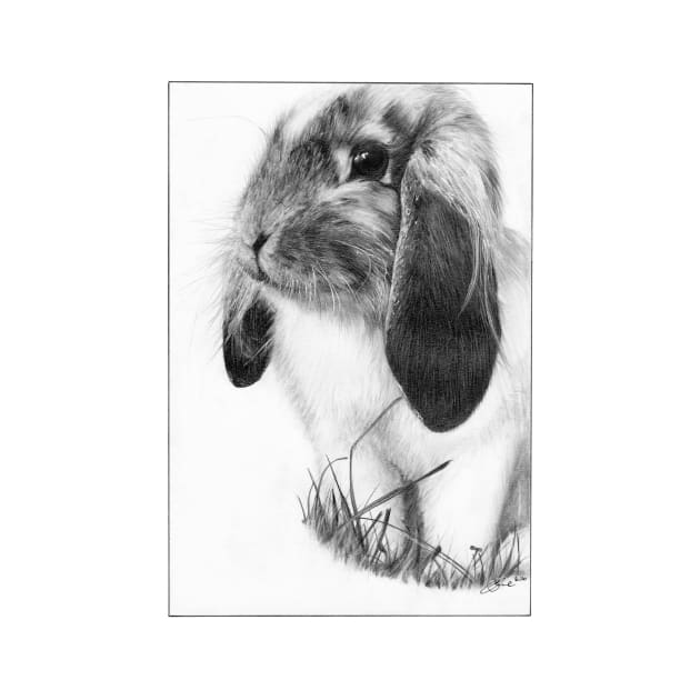 Bunny rabbit Drawing by paintthemoment