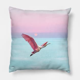 Roseate Spoonbill at Sunset Pillow