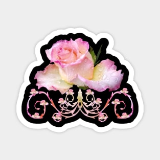 pink rose, ornament, roses, flowers, petal bloom Magnet