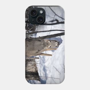 Grazing white-tailed deer. Phone Case