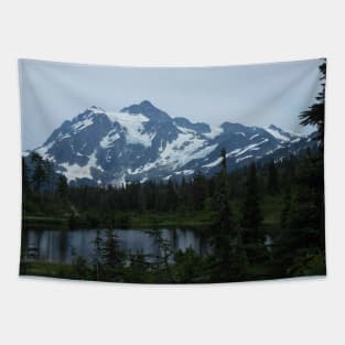 Mt Baker Washington State Nature Photography Pacific Northwest Tapestry