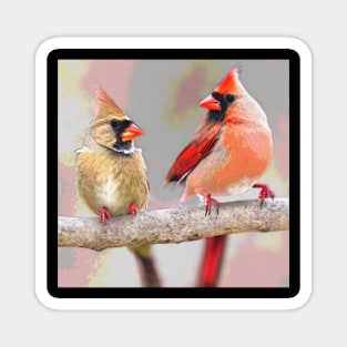 Beautiful Cardinals Magnet