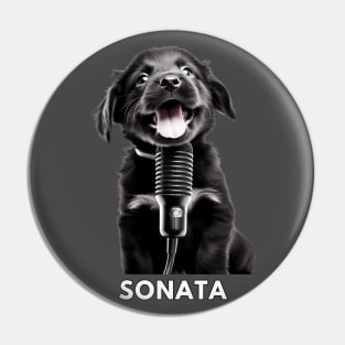 Sonata a black puppy who sings Pin