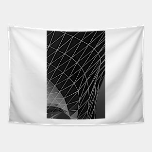 Monochrome photo of triangle shape digital wallpaper Tapestry