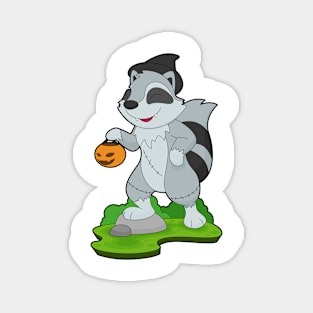 Racoon Halloween Pumpkin Magnet