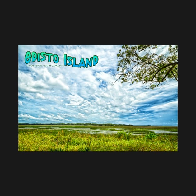 Edisto Island at South Carolina by Gestalt Imagery
