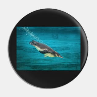 Humboldt Penguin Diving Pin