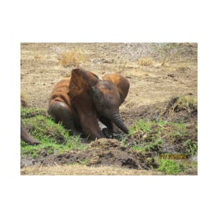 Baby Elephant having a mud bath T-Shirt