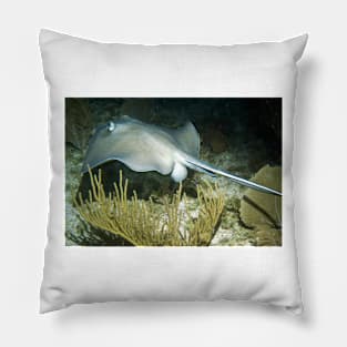 Stingray on a Night Dive Pillow