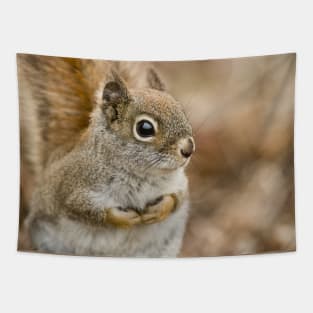 Red Squirrel Tapestry