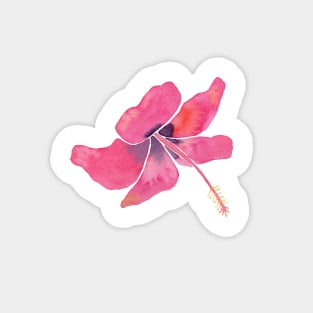 Pink Tropical Hibiscus Watercolor Illustration with a white background Magnet