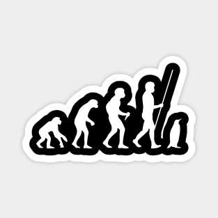 Penguin Evolution Magnet