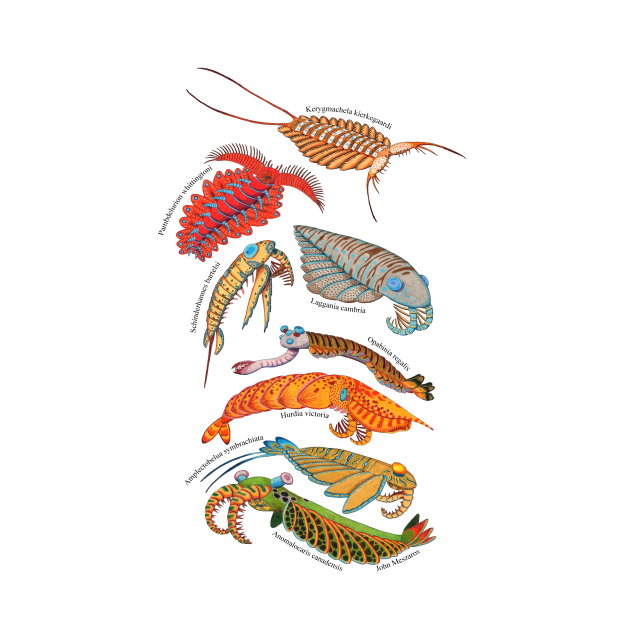 Anomalocaris - Anomalocaris - T-Shirt | TeePublic