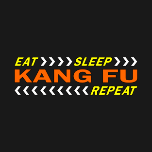 Eat sleep kung fu repeat t shirt. T-Shirt