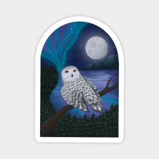 Mysterious Snowy Owl Magnet