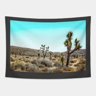 Joshua Tree National Park, California Tapestry