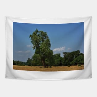 Colorful Kansas Summer pasture Tapestry