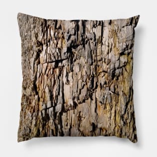 Crackled wood texture Pillow