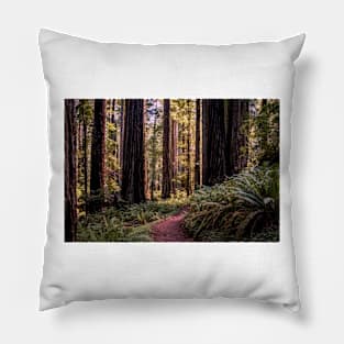 A walk in the redwoods Pillow