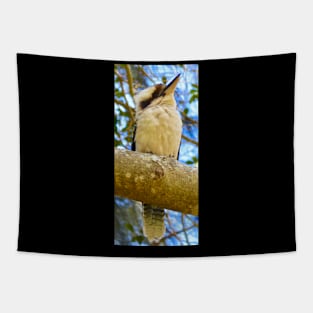 Kookaburra looking into the Sky! Tapestry