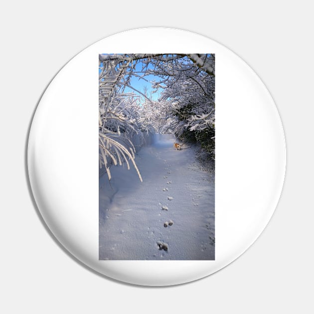 SOLITARY SNOW WINTER SCENE Pin by MarniD9